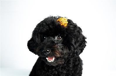 盘点steam2025年新品节热门游戏，国产作品表现亮眼